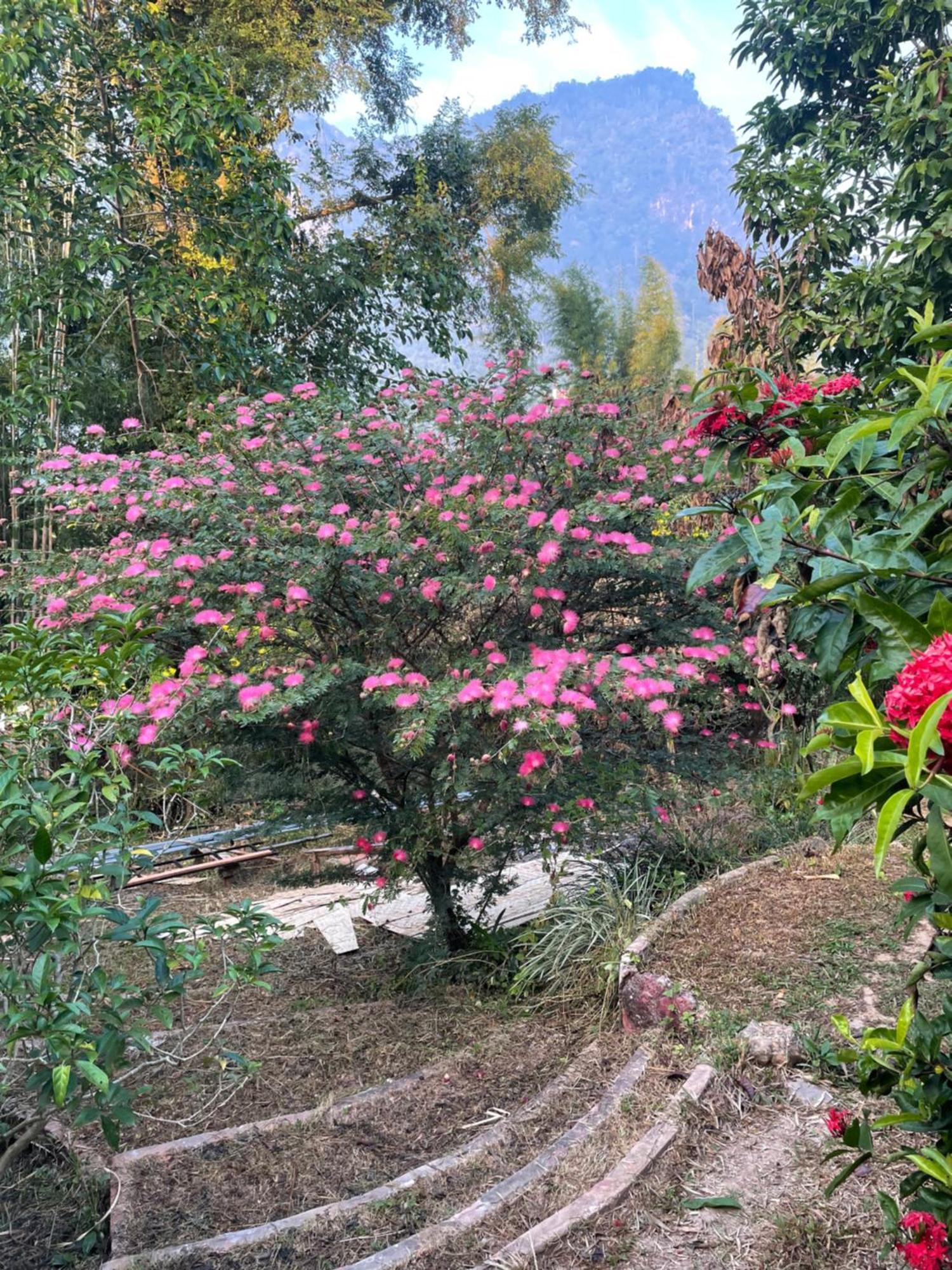 Chiang Dao Roundhouses Luaran gambar