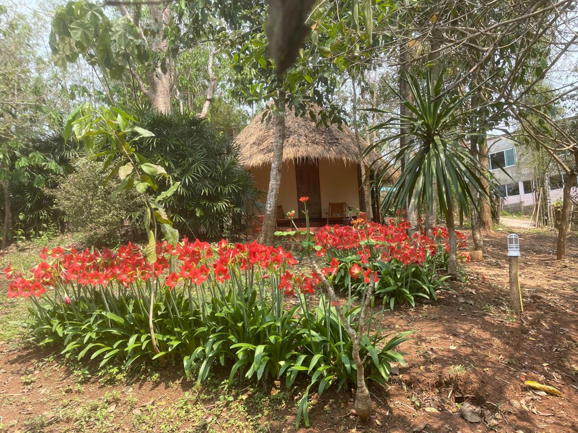 Chiang Dao Roundhouses Luaran gambar