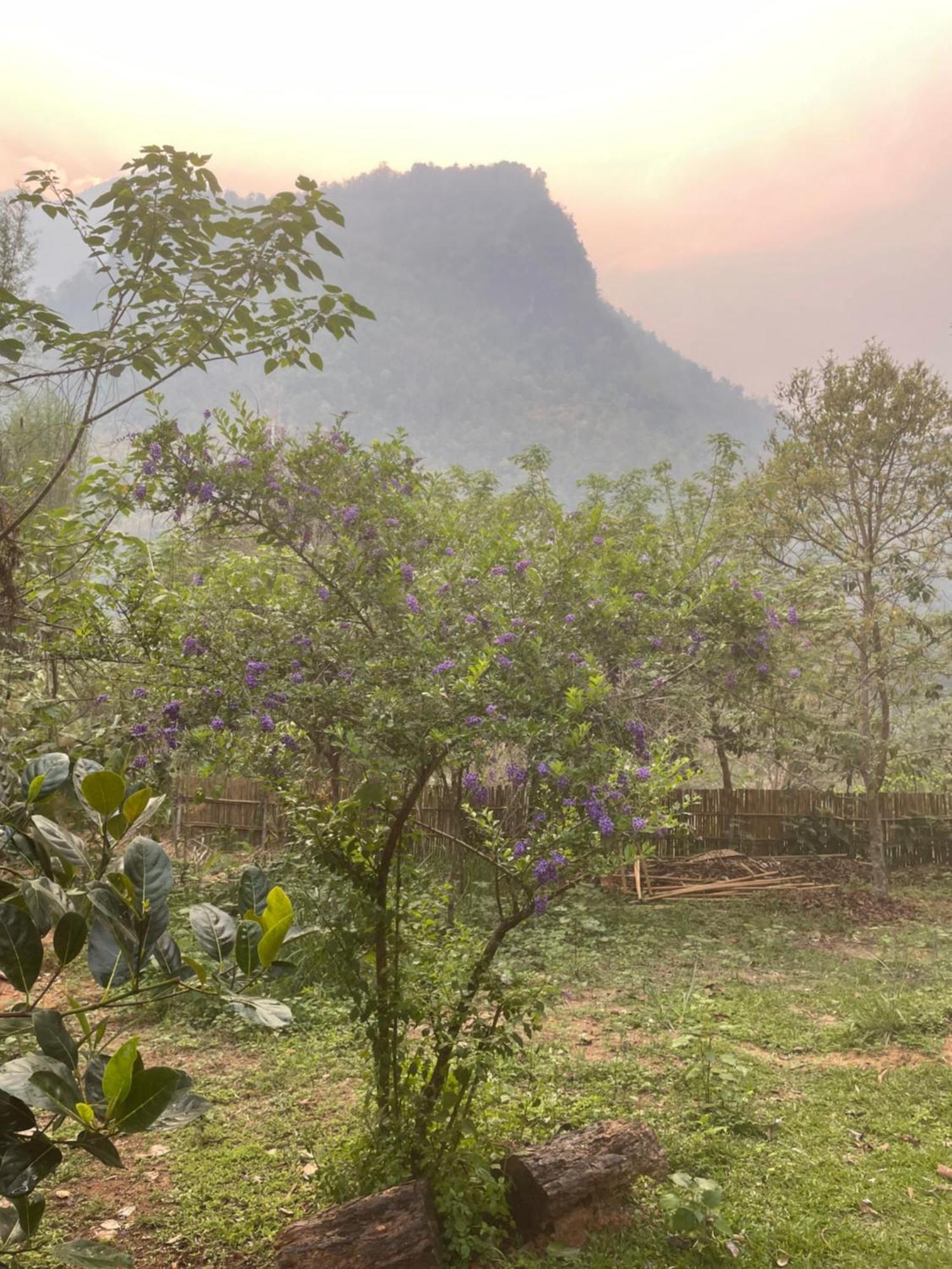 Chiang Dao Roundhouses Luaran gambar