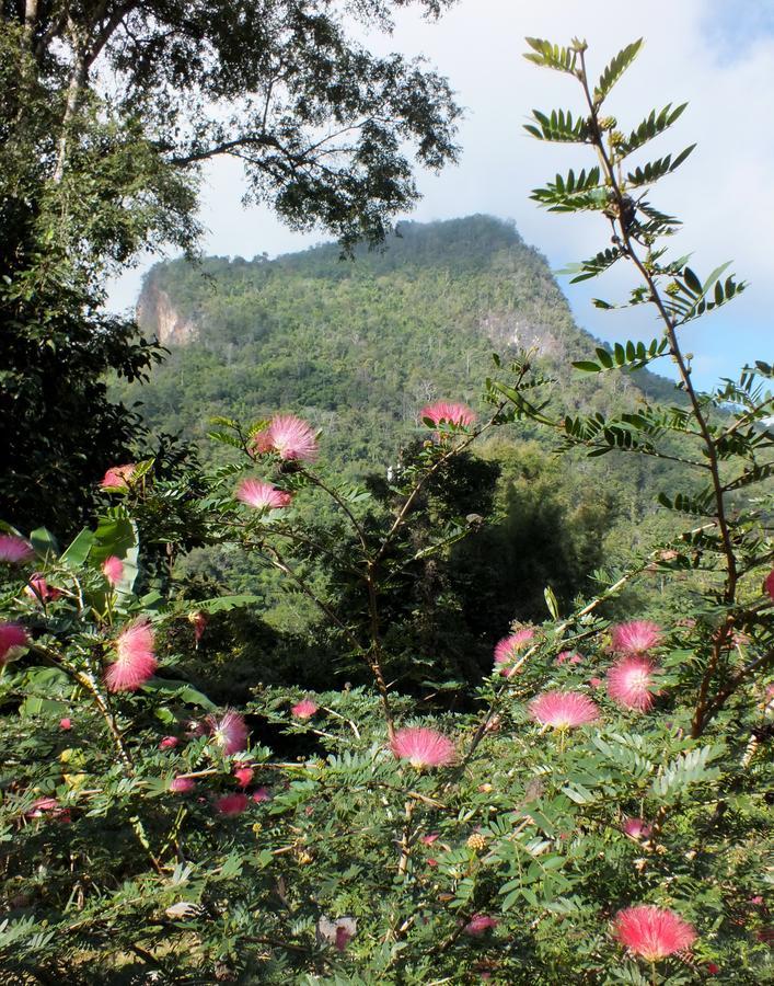 Chiang Dao Roundhouses Luaran gambar
